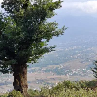 خانه کلنگی|فروش زمین و ملک کلنگی|تهران, سبلان (لشگر)|دیوار