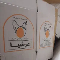 کارتن تخم مرغ
