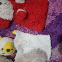 عروسک|اسباب‌بازی بچه|رشت, کوی مهر|دیوار