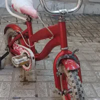 دوچرخه ۱۲ بچه گانه