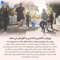 ادمین تولید محتوا و فریلنسری|خدمات رایانه‌ای و موبایل|مشهد, هنرستان|دیوار