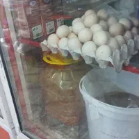 تخم مرغ محلی درشت