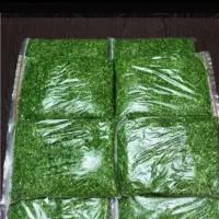 سبزیجات آماده به طبخ ماهان|خوردنی و آشامیدنی|سبزوار, گلشن|دیوار