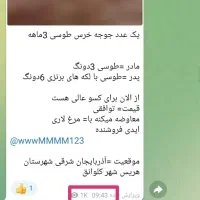 کانال روبیکا پر درامد  معاوضه با کانال اپارات و..|لوازم جانبی موبایل و تبلت|تهران, آرارات|دیوار