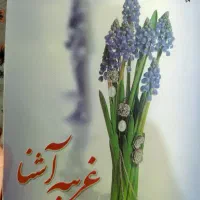 کتاب رمان غریبه آشنا
