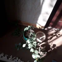 طبقه اول دو خوابه