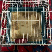 قفس پرنده