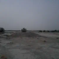 بیست هکتار زمین کشاورزی میناب با چاه آب برقی