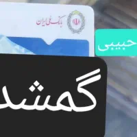 کیف مدارک‌گمشده