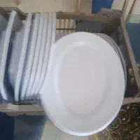 ظروف ملامین
