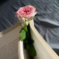 راهنمایی کجا تاکسی ماکسیم ثبت نام کنم