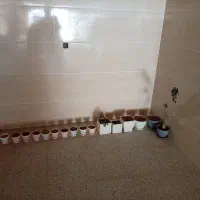 گلدان|گل و گیاه طبیعی|اردکان, |دیوار