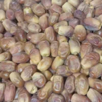 فروش و پخش خرما،۱۰درصد تخفیف تا شب یلدا|خوردنی و آشامیدنی|یزد, |دیوار