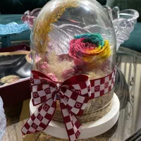 رز جاودان و قندان خورشیدی و دیوار کوب و چراغ زنبور|ظروف سرو و پذیرایی|تبریز, |دیوار