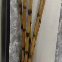 گلدان و چوب نی بامبو|صنایع دستی و سایر لوازم تزئینی|بندر ماهشهر, |دیوار
