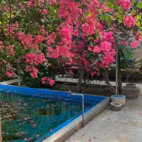 استخدام نیرو