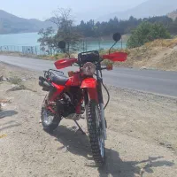 موتور تریلxl250 نیکتاز صفر