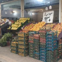 نیروی خانم جهت کار در میوه فروشی