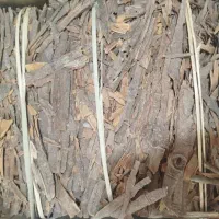 پخش عمده دارچین قلم و پودروزنجبیل قلم وپودری وغیره