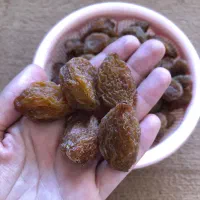 آلو جوشی