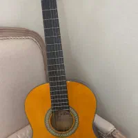 گیتار آریا مدل Ak20