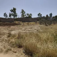 زمین معاوضه با خودرو|فروش زمین و ملک کلنگی|شیراز, وزیرآباد|دیوار