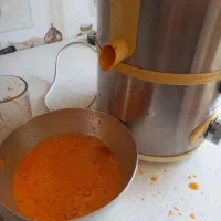 آبمیوه گیری سالم|آبمیوهگیر و آبمرکباتگیر|ملایر, |دیوار