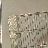 فنج سهره قناری اواز خوان
