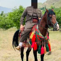 اسب‌زیبا‌ارام