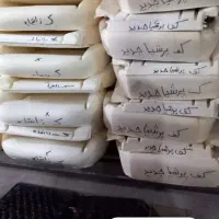 تعمیرات صندلی جوشکاری تعویض ابر خودرو|قطعات یدکی و لوازم جانبی|قم, امامزاده ابراهیم|دیوار
