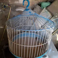 قفس طرقه