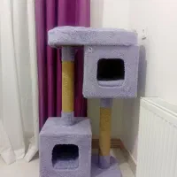 اسکچر بازی گربه