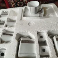 ظروف چینی