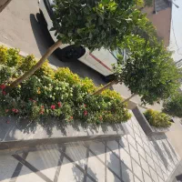 باغبانی سم پاشی هرس درختان کاشت گیاهان تعویض گلدن