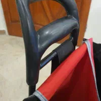 چرخ حمل میوه