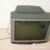 تلویزیون