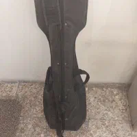 هارد کیس تار ایرانی