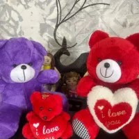 کار در منزل محدوده مصلی