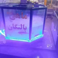 اکواریوم ماهی قزل آلا|فروشگاه و مغازه|سریش آباد, |دیوار