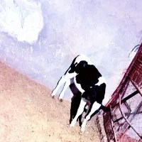 گوساله ماده چهار ماهه