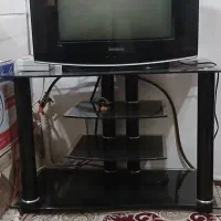 تلوزیون