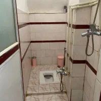 ۵۵متری همکف(جانبازان پشت ترمینال خط کناره)|فروش آپارتمان|رشت, جانبازان|دیوار