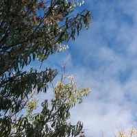 سلام به یک نفر که کار کردن با لپتاپ بلد باشد