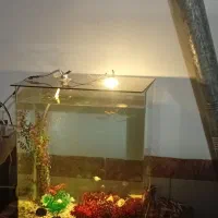 آکواریم شیشه خم با وسایل