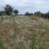 ۴۶۰متر زمین مناسب برای ساخت کلاسنگیان