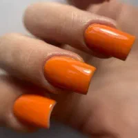 جذب ناخنکار حرفه ای