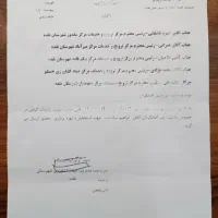 بذر آفتابگردان|خدمات باغبانی و درختکاری|نقده, |دیوار