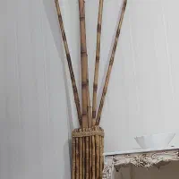 چوب بامبو با گلدون ۵عدد سالم ۳تومان