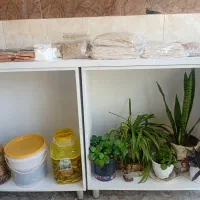 لوازم سبزی فروشی|فروشگاه و مغازه|گرگان, |دیوار