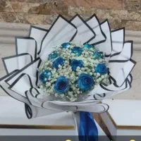 ماشین عروس بله برون دسته گل پول باکس نوزادی|گل و گیاه طبیعی|یزد, |دیوار